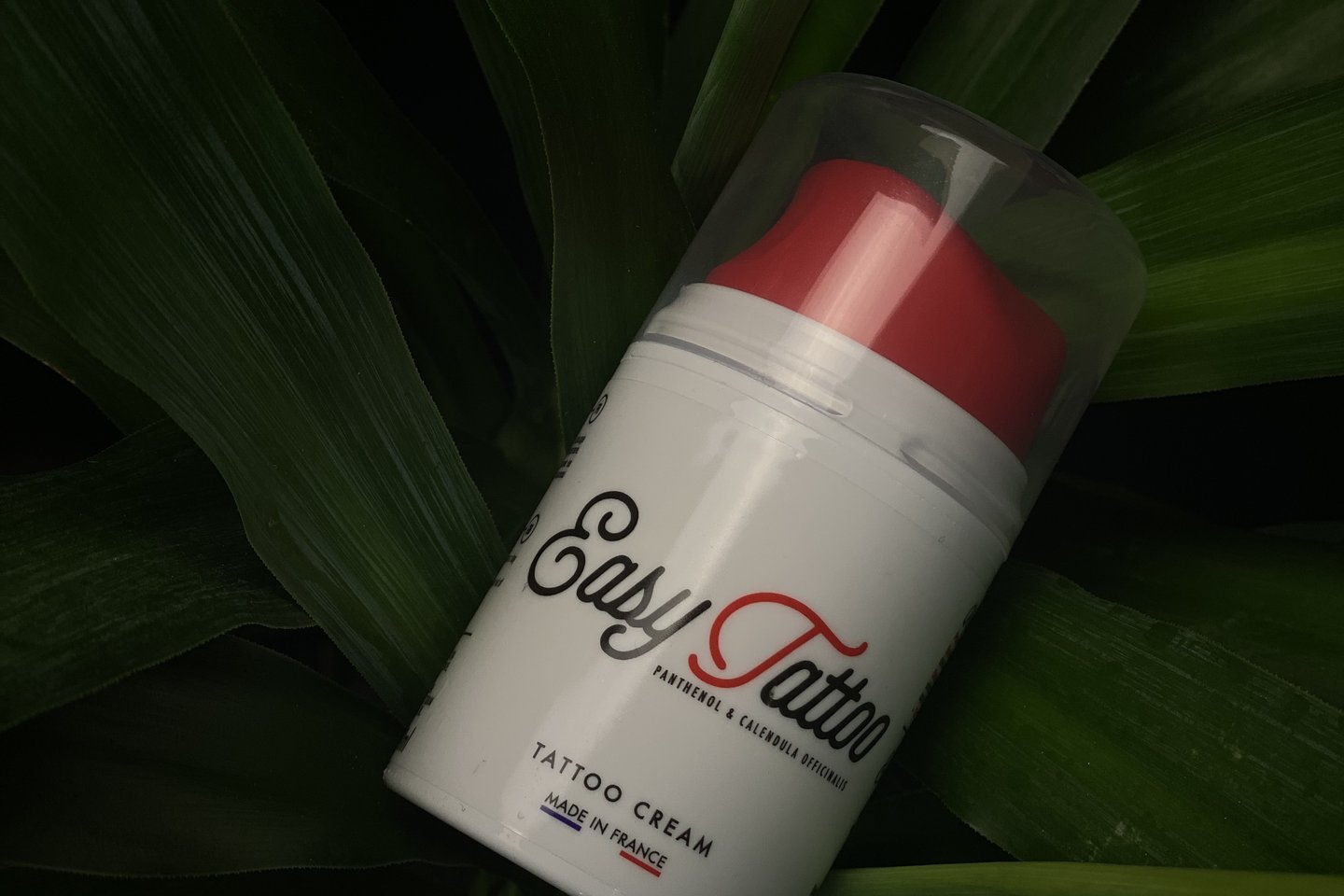 photo_2023-01-21_22-31-02