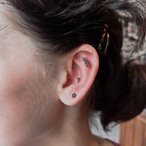 Earlobe and cartilage piercings with coordinated jewellery that create a balanced and stylish ear composition.