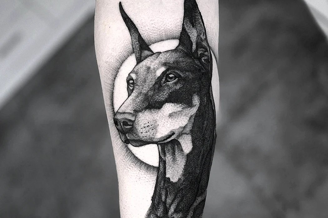 sattryuhtyuywarwaer (1)