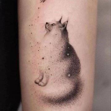 sattryuhtyuywarwaer (19)