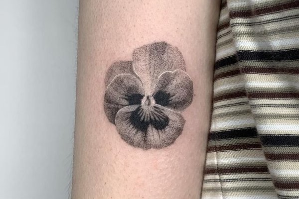 sattryuhtyuywarwaer (27)