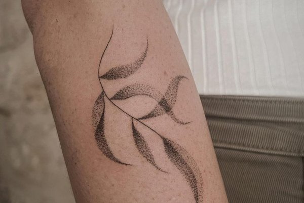 sattryuhtyuywarwaer (14)